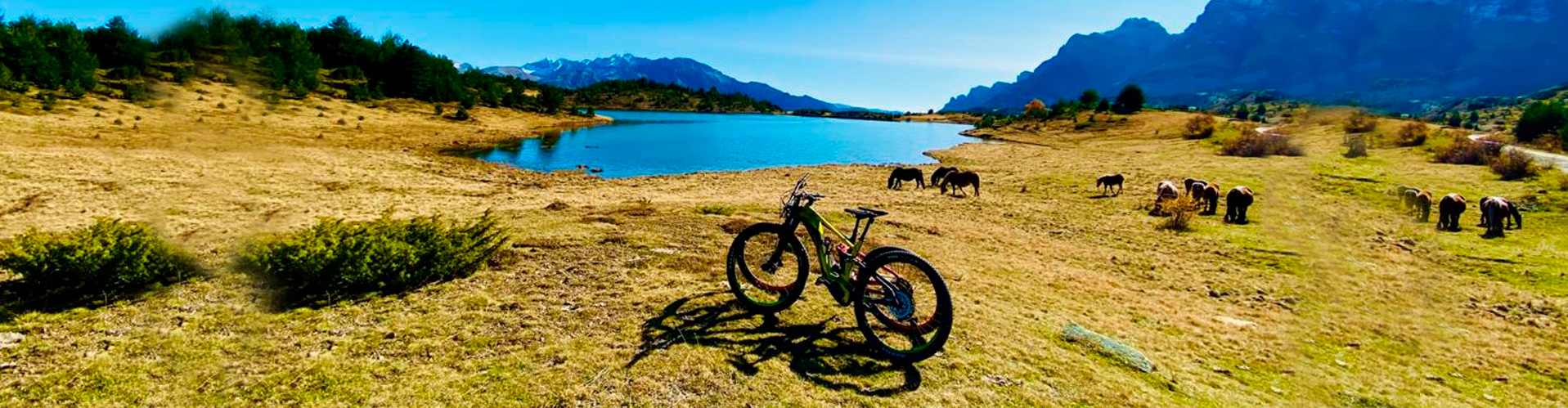 Alquiler de bicicletas eléctricas en el Hotel Viñas de Lárrede